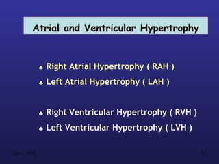 Atrial and Ventricular Hypertrophy


              ♣   Right Atrial Hypertrophy ( RAH )
              ♣   Left Atrial Hypertrophy ( LAH )


              ♣   Right Ventricular Hypertrophy ( RVH )
              ♣   Left Ventricular Hypertrophy ( LVH )

Jan 7, 2013                                               57
 
