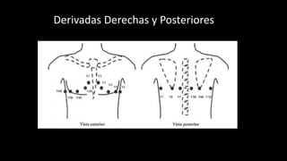 Derivadas Derechas y Posteriores
 