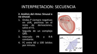INTERPRETACION: SECUENCIA
2. Análisis del ritmo: Sinusal o
no sinusal.
1. Ondas P siempre negativas
en aVR, positivas en el
resto de derivaciones,
salvo el V1.
2. Seguida de un complejo
QRS.
3. Intervalo PR y R-R
constante.
4. FC entre 60 y 100 latidos
por minuto.
 