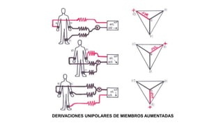 DERIVACIONES UNIPOLARES DE MIEMBROS AUMENTADAS
 