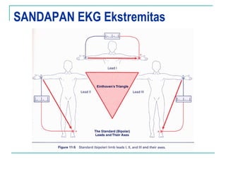 SANDAPAN EKG Ekstremitas
 