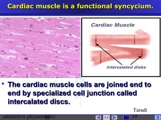interactive physiologyECG
Taradi
19
Cardiac muscle is a functional syncycium.Cardiac muscle is a functional syncycium.
 The cardiac muscle cells are joined end toThe cardiac muscle cells are joined end to
end by specialized cell junction calledend by specialized cell junction called
intercalated discs.intercalated discs.
 