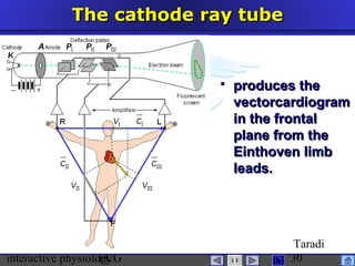 interactive physiologyECG
Taradi
30
The cathode ray tubeThe cathode ray tube
 produces theproduces the
vectorcardiogramvectorcardiogram
in the frontalin the frontal
plane from theplane from the
Einthoven limbEinthoven limb
leads.leads.
 