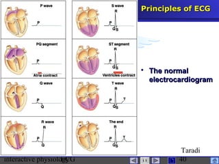 interactive physiologyECG
Taradi
40
 The normalThe normal
electrocardiogramelectrocardiogram
Principles of ECGPrinciples of ECG
 