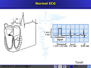 interactive physiologyECG
Taradi
41
Normal ECGNormal ECG
 