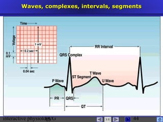 interactive physiologyECG
Taradi
44
Waves, complexes, intervals, segmentsWaves, complexes, intervals, segments
 