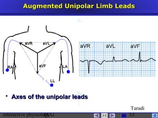 interactive physiologyECG
Taradi
53
Augmented Unipolar Limb LeadsAugmented Unipolar Limb Leads
 Axes of the unipolar leadsAxes of the unipolar leads
 