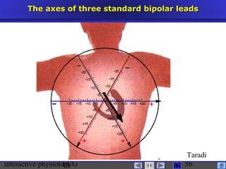 interactive physiologyECG
Taradi
56
The axes of three standard bipolar leadsThe axes of three standard bipolar leads
 