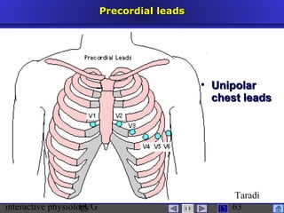 interactive physiologyECG
Taradi
63
Precordial leadsPrecordial leads
 UnipolarUnipolar
chest leadschest leads
 