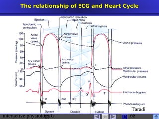 interactive physiologyECG
Taradi
68
The relationship of ECG and Heart CycleThe relationship of ECG and Heart Cycle
 