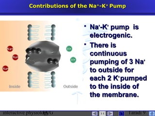 interactive physiologyECG Taradi 9
Contributions of the NaContributions of the Na++
-K-K++
PumpPump
 NaNa++
-K-K++
pump ispump is
electrogenic.electrogenic.
 There isThere is
continuouscontinuous
pumping of 3 Napumping of 3 Na++
to outside forto outside for
each 2 Keach 2 K++
pumpedpumped
to the inside ofto the inside of
the membrane.the membrane.
 