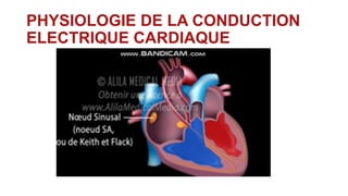 PHYSIOLOGIE DE LA CONDUCTION
ELECTRIQUE CARDIAQUE
 
