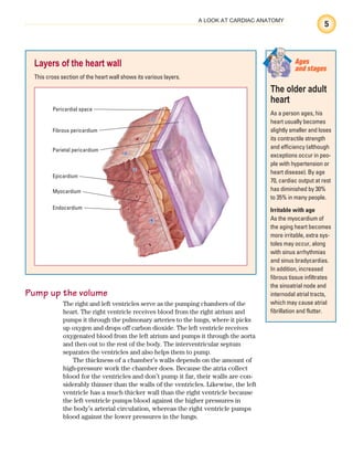 5
A LOOK AT CARDIAC ANATOMY
Pump up the volume
The right and left ventricles serve as the pumping chambers of the
heart. The right ventricle receives blood from the right atrium and
pumps it through the pulmonary arteries to the lungs, where it picks
up oxygen and drops off carbon dioxide. The left ventricle receives
oxygenated blood from the left atrium and pumps it through the aorta
and then out to the rest of the body. The interventricular septum
separates the ventricles and also helps them to pump.
The thickness of a chamber’s walls depends on the amount of
high-pressure work the chamber does. Because the atria collect
blood for the ventricles and don’t pump it far, their walls are con-
siderably thinner than the walls of the ventricles. Likewise, the left
ventricle has a much thicker wall than the right ventricle because
the left ventricle pumps blood against the higher pressures in
the body’s arterial circulation, whereas the right ventricle pumps
blood against the lower pressures in the lungs.
Layers of the heart wall
This cross section of the heart wall shows its various layers.
Pericardial space
Fibrous pericardium
Parietal pericardium
Epicardium
Myocardium
Endocardium
The older adult
heart
As a person ages, his
heart usually becomes
slightly smaller and loses
its contractile strength
and efficiency (although
exceptions occur in peo-
ple with hypertension or
heart disease). By age
70, cardiac output at rest
has diminished by 30%
to 35% in many people.
Irritable with age
As the myocardium of
the aging heart becomes
more irritable, extra sys-
toles may occur, along
with sinus arrhythmias
and sinus bradycardias.
In addition, increased
fibrous tissue infiltrates
the sinoatrial node and
internodal atrial tracts,
which may cause atrial
fibrillation and flutter.
Ages
and stages
ECG_Chap01.indd 5
ECG_Chap01.indd 5 7/7/2010 5:47:43 PM
7/7/2010 5:47:43 PM
 