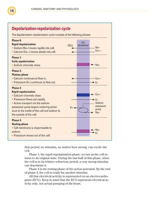 14
CARDIAC ANATOMY AND PHYSIOLOGY
that period, no stimulus, no matter how strong, can excite the
cell.
Phase 3, the rapid repolarization phase, occurs as the cell re-
turns to its original state. During the last half of this phase, when
the cell is in its relative refractory period, a very strong stimulus
can depolarize it.
Phase 4 is the resting phase of the action potential. By the end
of phase 4, the cell is ready for another stimulus.
All that electrical activity is represented on an electrocardio-
gram (ECG). Keep in mind that the ECG represents electrical ac-
tivity only, not actual pumping of the heart.
Depolarization-repolarization cycle
The depolarization-repolarization cycle consists of the following phases:
Phase 0:
Rapid depolarization
Sodium (Na
• +) moves rapidly into cell.
Calcium (Ca
• ++) moves slowly into cell.
Phase 1:
Early repolarization
Sodium channels close.
•
Phase 2:
Plateau phase
Calcium continues to flow in.
•
Potassium (K
• +) continues to flow out.
Phase 3:
Rapid repolarization
Calcium channels close.
•
Potassium flows out rapidly.
•
Active transport via the sodium-
•
potassium pump begins restoring potas-
sium to the inside of the cell and sodium to
the outside of the cell.
Phase 4:
Resting phase
Cell membrane is impermeable to
•
sodium.
Potassium moves out of the cell.
•
Na+
Ca++
Na+
Ca++
K+
Ca++
K+
Sodium-
potassium
pump
Na+
Na+
K+
CELL
K+
CELL
MEMBRANE
ECG_Chap01.indd 14
ECG_Chap01.indd 14 7/7/2010 5:47:52 PM
7/7/2010 5:47:52 PM
 