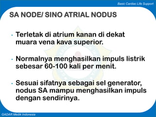 Basic Cardiac Life Support
GADAR Medik Indonesia
• Terletak di atrium kanan di dekat
muara vena kava superior.
• Normalnya menghasilkan impuls listrik
sebesar 60-100 kali per menit.
• Sesuai sifatnya sebagai sel generator,
nodus SA mampu menghasilkan impuls
dengan sendirinya.
SA NODE/ SINO ATRIAL NODUS
 