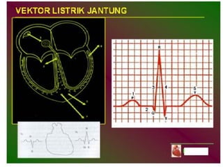 Basic Cardiac Life Support
GADAR Medik Indonesia
 