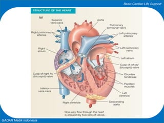 Basic Cardiac Life Support
GADAR Medik Indonesia
 