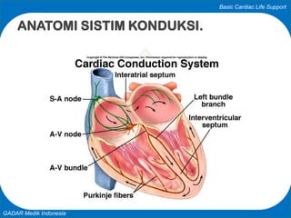 Basic Cardiac Life Support
GADAR Medik Indonesia
ANATOMI SISTIM KONDUKSI.
 