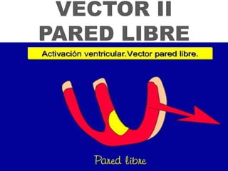 Rutina de interpretación del ECG de superficieSe debe hacer un análisis de 10 aspectos:LOS 10 MANDAMIENTOSRitmo.Frecuencia cardiaca.Onda P.Intervalo PR.Intervalo QRS.Complejo QRS.Segmento ST.Onda T.Onda U.Intervalo QT.