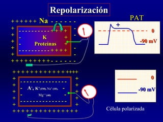 COMPLEJO QRS MORFOLOGIA  EJE ELECTRICO