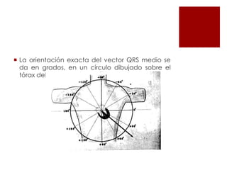  La orientación exacta del vector QRS medio se
da en grados, en un círculo dibujado sobre el
tórax del paciente.
 