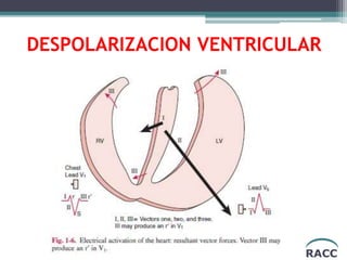 RACC
DESPOLARIZACION VENTRICULAR
 