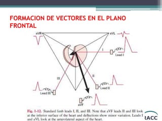 RACC
FORMACION DE VECTORES EN EL PLANO
FRONTAL
 