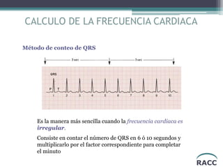RACC
CALCULO DE LA FRECUENCIA CARDIACA
Método de conteo de QRS
Es la manera más sencilla cuando la frecuencia cardiaca es
irregular.
Consiste en contar el número de QRS en 6 ó 10 segundos y
multiplicarlo por el factor correspondiente para completar
el minuto
 