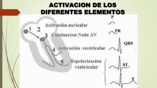 ACTIVACION DE LOS
DIFERENTES ELEMENTOS
 