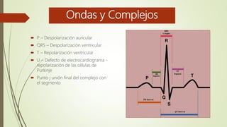 Ondas y Complejos
 P – Despolarización auricular
 QRS – Despolarización ventricular
 T – Repolarización ventricular
 U – Defecto de electrocardiograma -
repolarización de las células de
Purkinje
 Punto j unión final del complejo con
el segmento
 