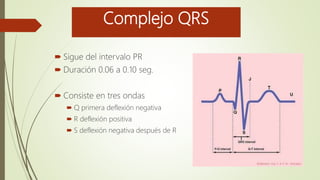Complejo QRS
 Sigue del intervalo PR
 Duración 0.06 a 0.10 seg.
 Consiste en tres ondas
 Q primera deflexión negativa
 R deflexión positiva
 S deflexión negativa después de R
 