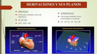 DERIVACIONES Y SUS PLANOS
 FRONTALES:
 Conocidos también como de
miembros:
 DI, DII, DIII.
 AVF, AVR, AVL.
 HORIZONTALES:
 Conocidas también como
precordiales o torácicas
 V1, V2, V3, V4, V5 y V6
 