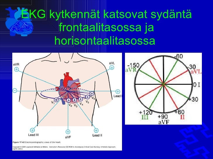 Normaali kytkennät