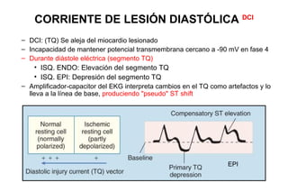 CORRIENTE DE LESIÓN DIASTÓLICA DCI
– DCI: (TQ) Se aleja del miocardio lesionado
– Incapacidad de mantener potencial transmembrana cercano a -90 mV en fase 4
– Durante diástole eléctrica (segmento TQ)
    • ISQ. ENDO: Elevación del segmento TQ
    • ISQ. EPI: Depresión del segmento TQ
– Amplificador-capacitor del EKG interpreta cambios en el TQ como artefactos y lo
  lleva a la línea de base, produciendo "pseudo" ST shift




                                                                   EPI
 