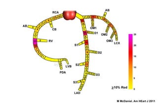 M McDaniel. Am HEart J 2011
 