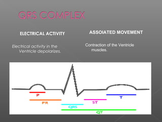ELECTRICAL ACTIVITY
Electrical activity in the
Ventricle depolarizes.
ASSOIATED MOVEMENT
Contraction of the Ventricle
muscles.
 
