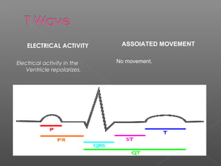ELECTRICAL ACTIVITY
Electrical activity in the
Ventricle repolarizes.
ASSOIATED MOVEMENT
No movement.
 