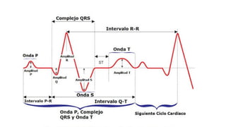ELECTROCARDIOGRAMA RITMO SINUSAL 2..pptx