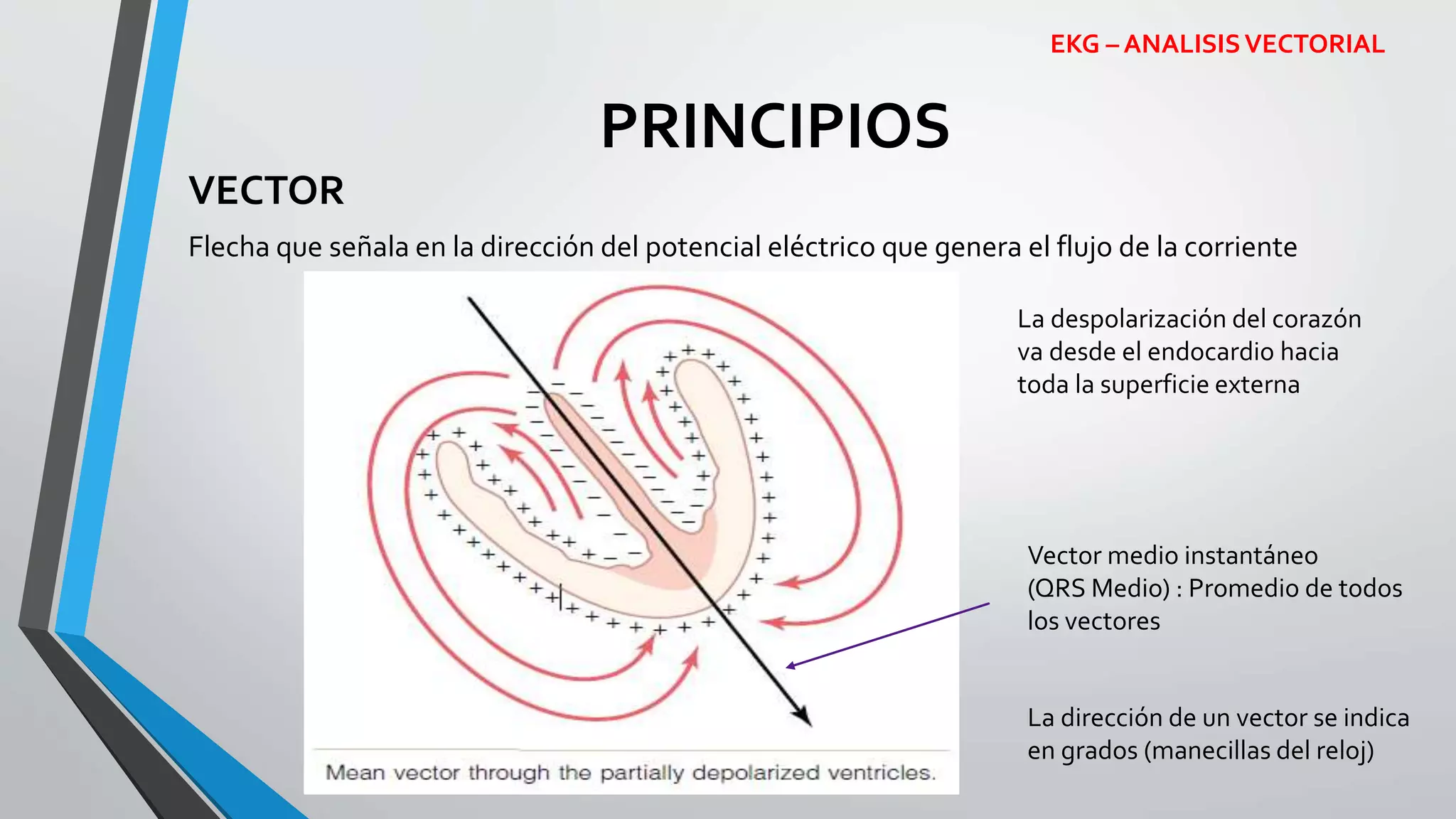 Ekg vectores | PPTX
