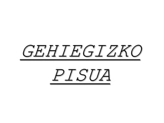 GEHIEGIZKO
PISUA
 