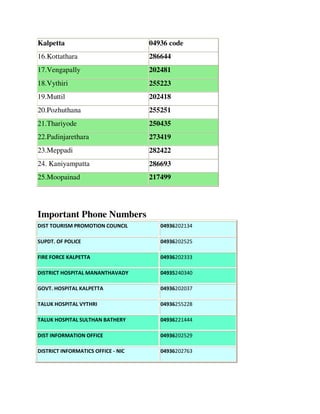 wayanad realestate Ekit | PDF