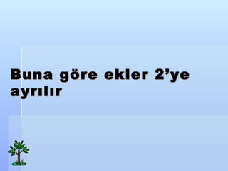 Buna g?re ekler  2ye  ayr?l?r   
