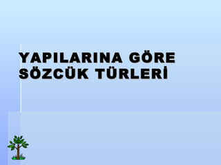 YAPILARINA G?RE S?ZC?K T?RLER?   