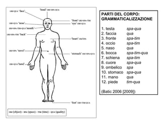 PARTI DEL CORPO:
GRAMMATICALIZZAZIONE
1. testa
2. faccia
3. fronte
4. occio
5. naso
6. bocca
7. schiena
8. cuore
9. ombelico
10. stomaco
11. mano
12. piede

spa-qua
qua
spa-tim
spa-tim
qua
spa-tim-qua
spa-tim
spa-qua
spa
spa-qua
qua
tim-qua

(Batic 2006 [2009])

 