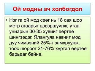Ой модны ач холбогдол
• Нэг га ой мод сөөг нь 18 сая шоо
метр агаарыг цэвэршүүлж, утаа
униарын 30-35 хувийг өөртөө
шингээдэг. Ялангуяа навчит мод
дуу чимээний 25%-г замхруулж,
тоос шороог 21-76% хүртэл өөртөө
барьдаг байна.
 
