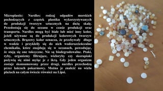Microplastic: Nurdles: rodzaj odpadów morskich
pochodzących z cząstek plastiku wykorzystywanych
do produkcji tworzyw sztucznych na dużą skalę.
Przedostają się do oceanu w czasie produkcji oraz
transportu. Nurdles mogą być białe lub mieć inny kolor,
jeżeli używane są do produkcji kolorowych tworzyw
sztucznych. Brązowy kolor oznacza, że przebywały długo
w wodzie i przykleiły się do nich wodorozcieńczalne
chemikalia, które znajdują się w oceanach, powodując,
że stają się one toksyczne. Nie są biodegradowalne. Ptaki,
ryby, organizmy filtrujące, wieloryby czy skorupiaki
pożywią się nimi myląc je z ikrą. Gdy jeden organizm
zostaje skonsumowany przez drugi, nurdles przechodzą
przez łańcuch pokarmowy. Można je znaleźć na wielu
plażach na całym świecie również na Lipsi.
 