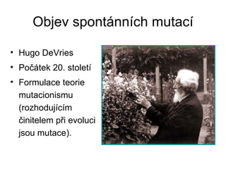 Objev spontánních mutací Hugo DeVries Počátek 20. století  Formulace teorie mutacionismu  (rozhodujícím činitelem při evoluci jsou mutace). 