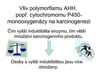 Vliv polymorfismu AHH,  popř. cytochromomu P450-monooxygenázy na karcinogenezi Čím vyšší induktibilita enzymu, tím větší množství karcinogenního produktu. Osoby s vyšší induktibilitou jsou více ohroženy. 