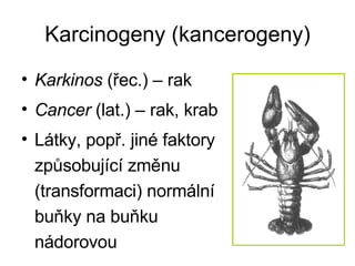 Karcinogeny (kancerogeny) Karkinos  (řec.) – rak Cancer  (lat.) – rak, krab Látky, popř. jiné faktory způsobující změnu (transformaci) normální buňky na buňku nádorovou 