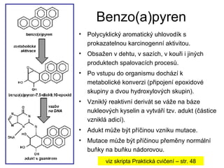 Benzo(a)pyren Polycyklický aromatický uhlovodík s prokazatelnou karcinogenní aktivitou. Obsažen v dehtu, v sazích, v kouři i jiných produktech spalovacích procesů. Po vstupu do organismu dochází k metabolické konverzi (připojení epoxidové skupiny a dvou hydroxylových skupin). Vzniklý reaktivní derivát se váže na báze nukleových kyselin a vytváří tzv. adukt (částice vzniklá adicí). Adukt může být příčinou vzniku mutace. Mutace může být příčinou přeměny normální buňky na buňku nádorovou. viz skripta Praktická cvičení – str. 48 